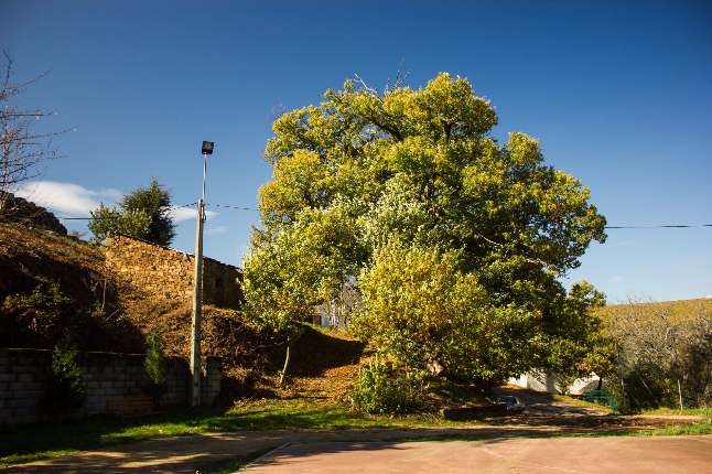 la-granja-de-san-vicente-castano-parque